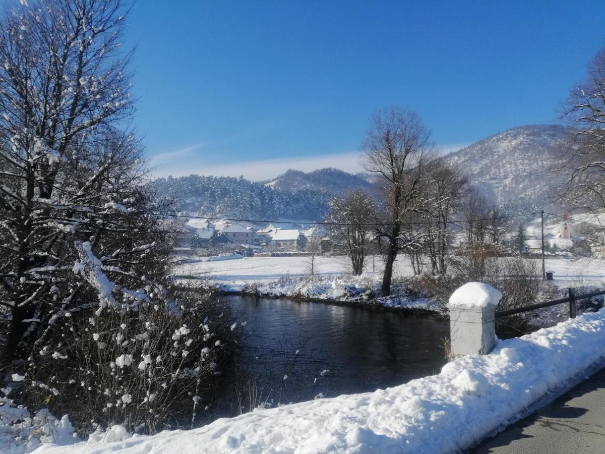 Вилла Hisa Haasberg Planina  Экстерьер фото
